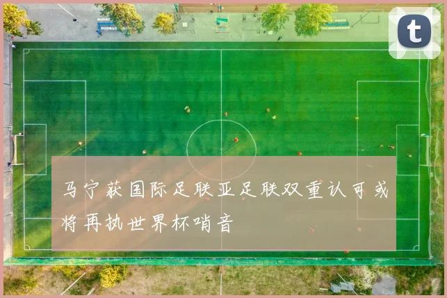 马宁获国际足联亚足联双重认可或将再执世界杯哨音