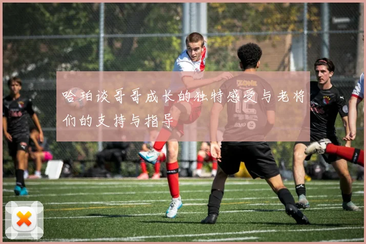 哈珀谈哥哥成长的独特感受与老将们的支持与指导