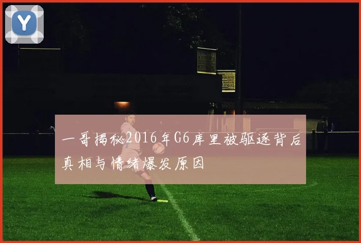 一哥揭秘2016年G6库里被驱逐背后真相与情绪爆发原因